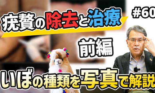 草乌的神奇功效与作用-草乌吃法及药用-专业草乌的用法用量和使用注意平台-草乌吃法及药用量是多少